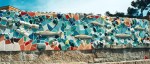 Fish Wall 1